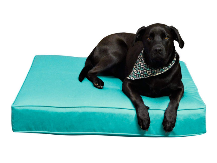 Luxury Pet Bed | Sunbrella Canvas Basics - RSH Decor