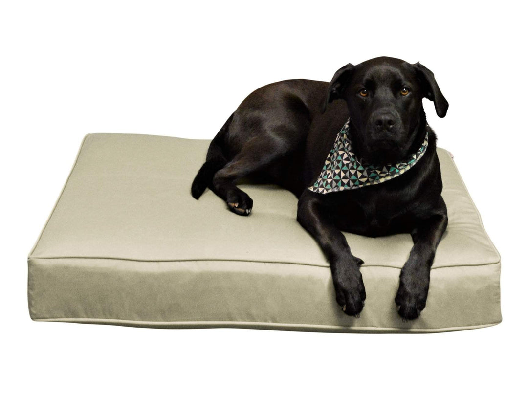 Luxury Pet Bed | Sunbrella Canvas Basics - RSH Decor