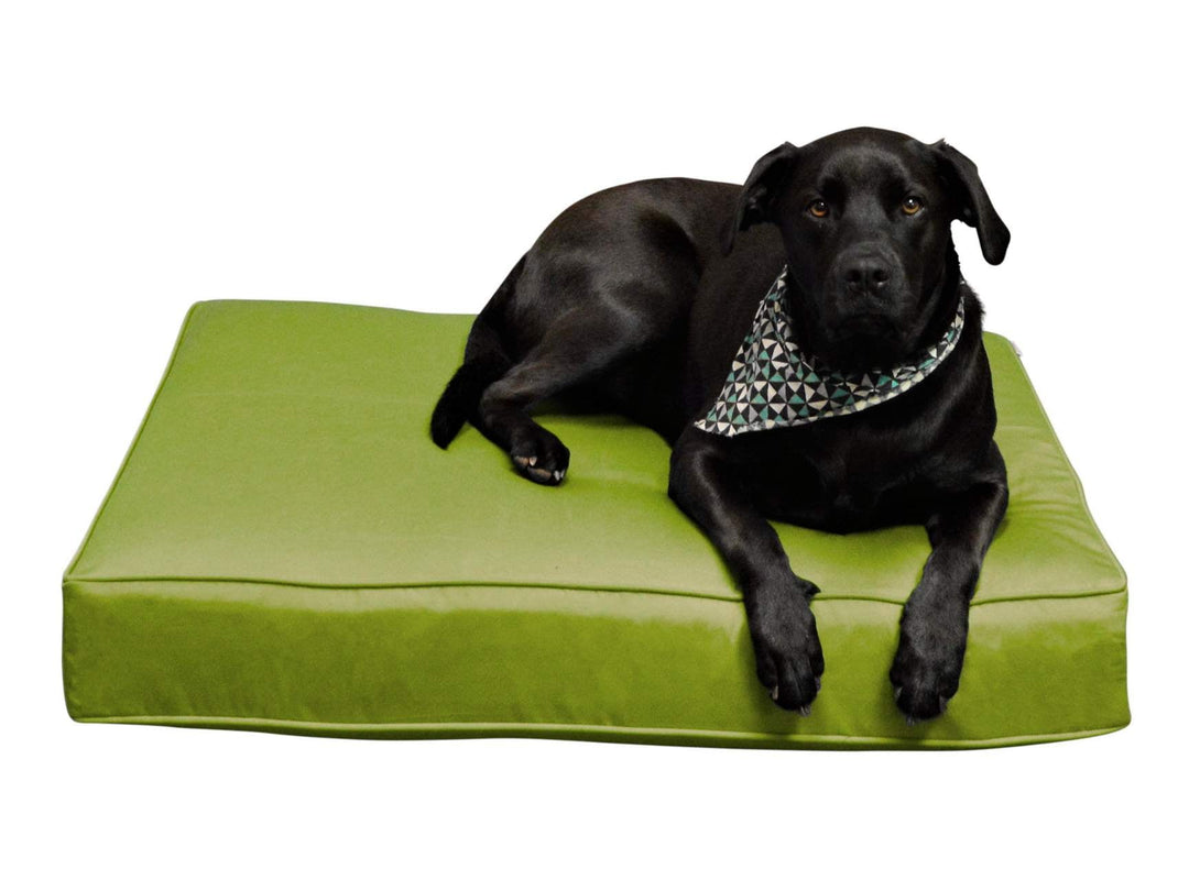 Luxury Pet Bed | Sunbrella Canvas Basics - RSH Decor