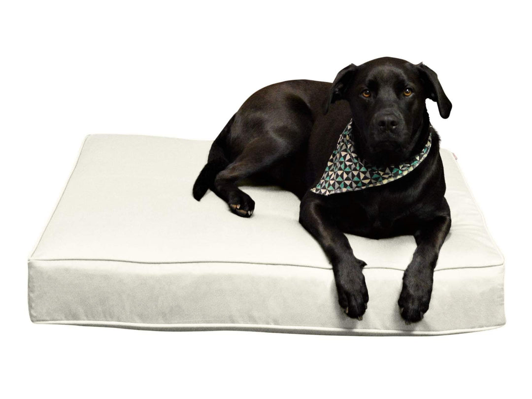 Luxury Pet Bed | Sunbrella Canvas Basics - RSH Decor