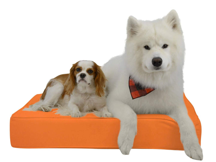 Luxury Pet Bed | Sunbrella Canvas Basics - RSH Decor