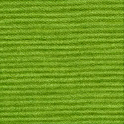 Kiwi Green