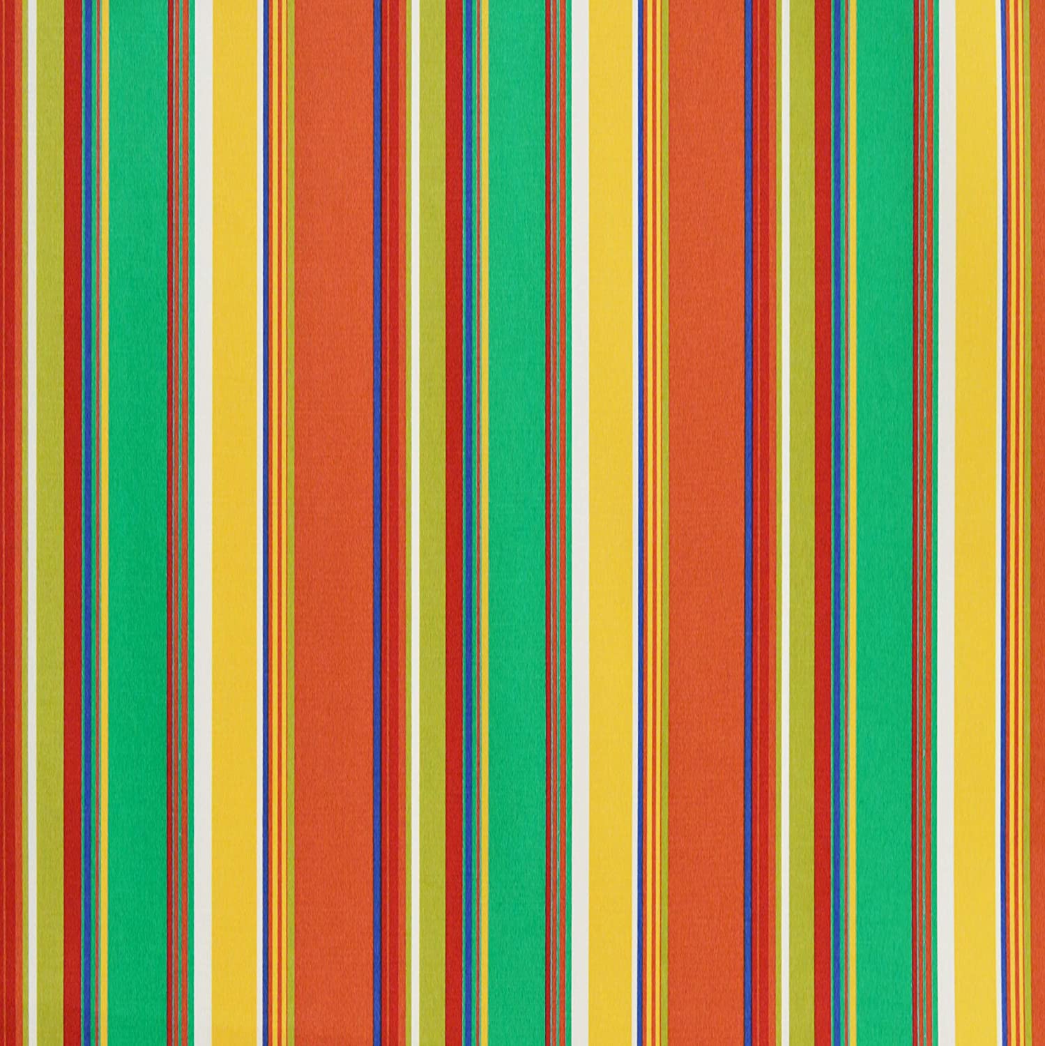 Bright Colorful Stripe