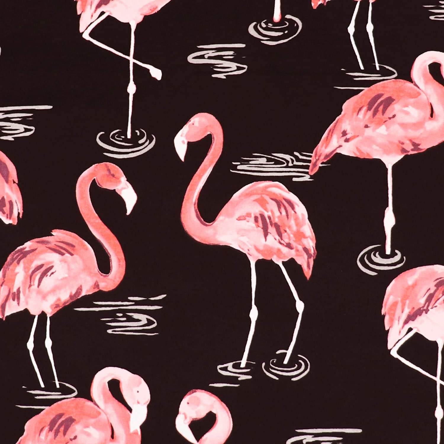 Flamingo Black and Pink